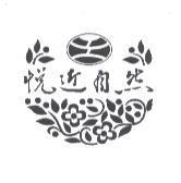 悅近自然及圖