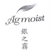 Agmoist 銀之霧及圖