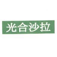 光合沙拉及圖
