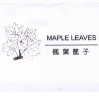 MAPLE LEAVES 楓葉氫子及圖