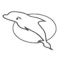 海豚圖