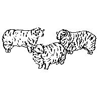 三羊圖