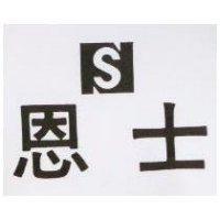 恩士 N.S 及圖