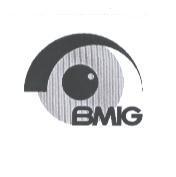 BMIG 及圖