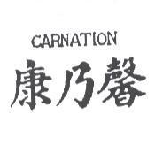康乃馨 CARNATION