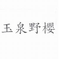 玉泉野櫻