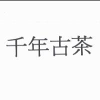 千年古茶