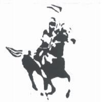 新大公司標章