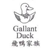 Gallant Duck 飛鴨家族及圖