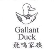 Gallant Duck 飛鴨家族及圖