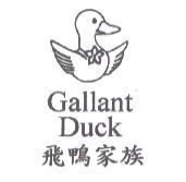 Gallant Duck 飛鴨家族及圖