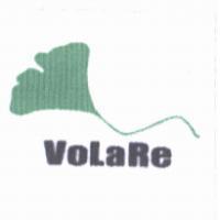 銀杏葉子. VoLaRe