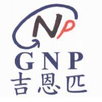 吉恩匹 GNP 及 NP 圖