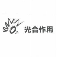光合作用 O2 及圖