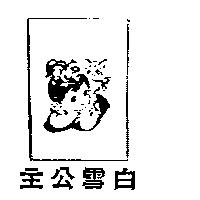 COMET & DESICN(慧星)及圖樣(墨色)