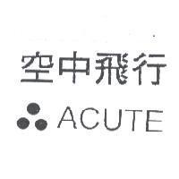 空中飛行 ACUTE 及圖