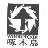啄木鳥 WOODPECKER 及圖