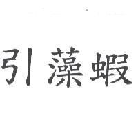 引藻蝦