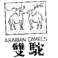 雙駝及圖 ARABIAN CAMELS