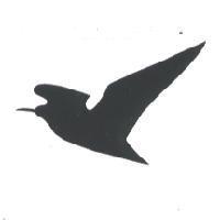 鳥圖形