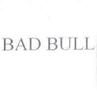 BAD BULL