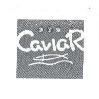 魚子泉及 CaviaR 及圖