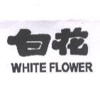 白花 WHITE FLOWER