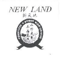 NEW LAND CORDYCEPS WOODS WILD GINSENG 新天地山野老蔘冬蟲夏草及圖