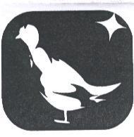 鳥設計圖