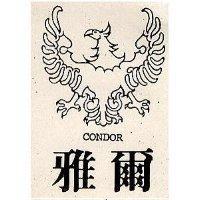 雅爾及圖 CONDOR