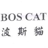 BOS CAT 波斯貓