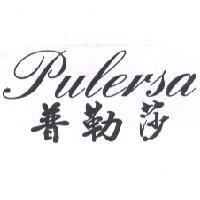 普勒莎 pulersa 設計圖