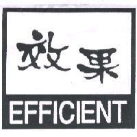 效果 EFFICIENT 及圖