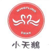 小天鵝 WHISTLING SWAN 及圖