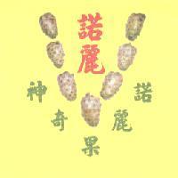 諾麗及圖