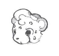 豹圖