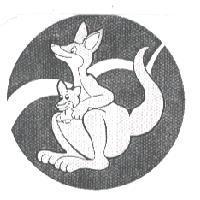 袋鼠圖