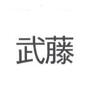 武藤