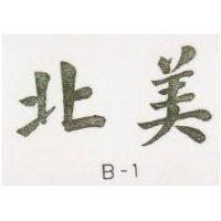 北美 F-1