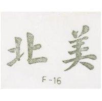 北美 F-16