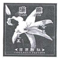 漢威 HANN UEI 及圖
