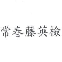 常春藤英檢