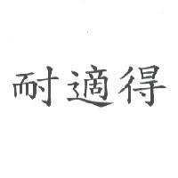 耐適得