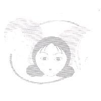 三美人圖