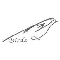 Birds 及圖形