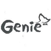 鯨魚 Genie 及圖