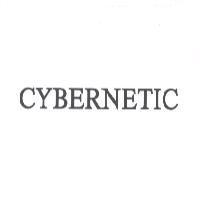 CYBERNETIC