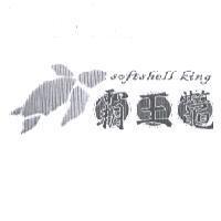 霸王鼈 softshell king 及圖