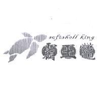 霸王鼈 softshell king 及圖