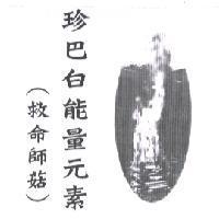 珍巴白能量元素 救命師菇及圖